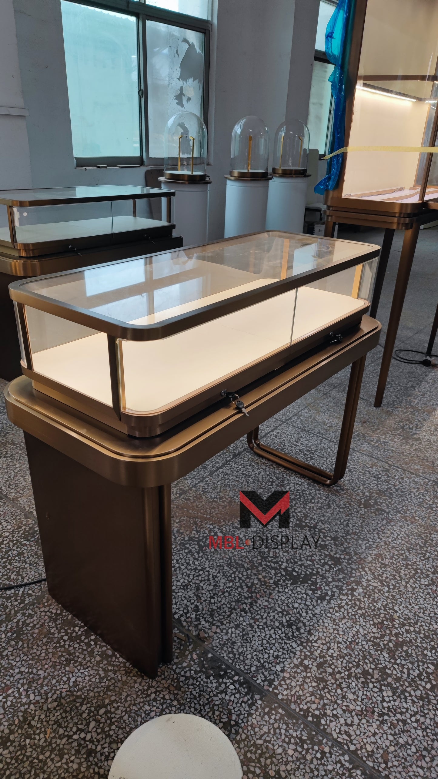 Durable Jewelry Showcases for International Purchase