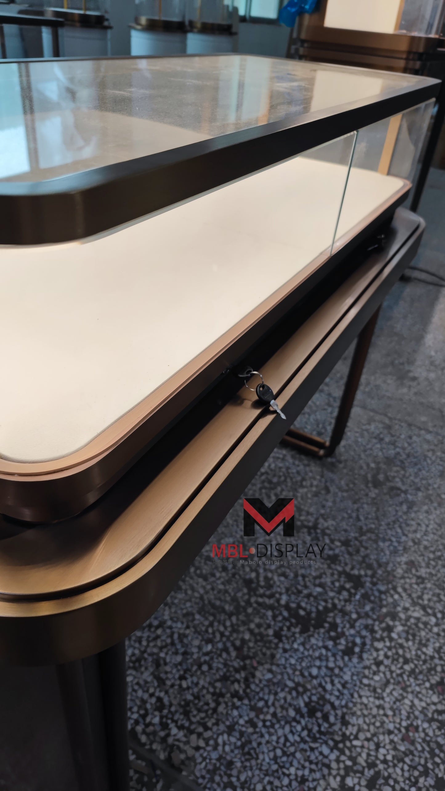Durable Jewelry Showcases for International Purchase